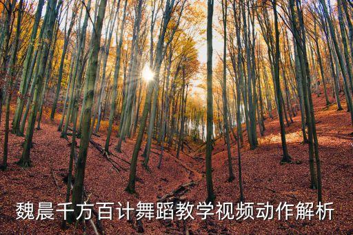 魏晨千方百计舞蹈教学视频动作解析