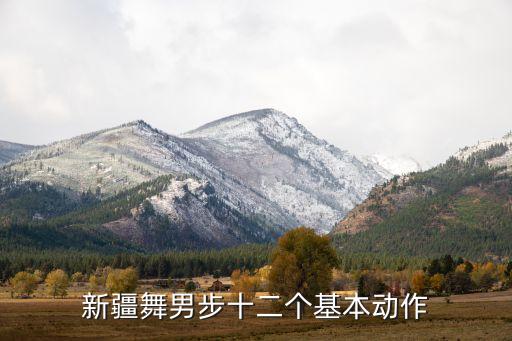 新疆舞男步基础步分解动作，新疆舞蹈的基本动作都有什么