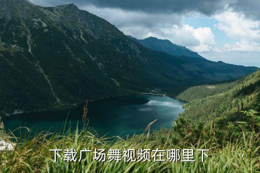 妹妹什么广场舞视频下载，下载广场舞视频在哪里下