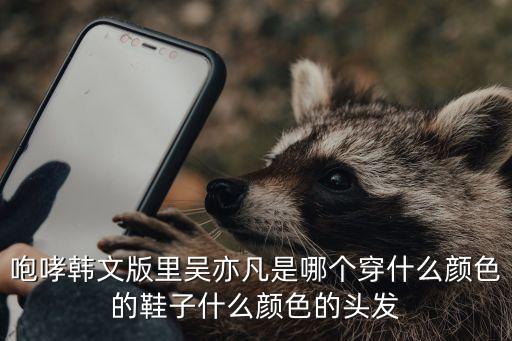 咆哮韩文版里吴亦凡是哪个穿什么颜色的鞋子什么颜色的头发