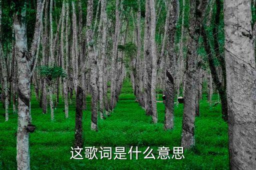 这歌词是什么意思