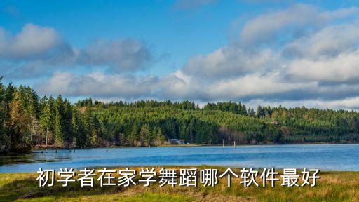 初学者在家学舞蹈哪个软件最好