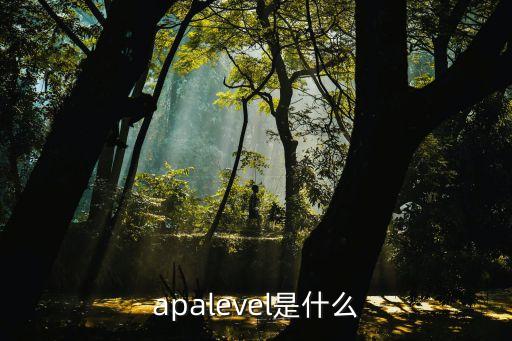 舞蹈A级指什么，A级标准是什么