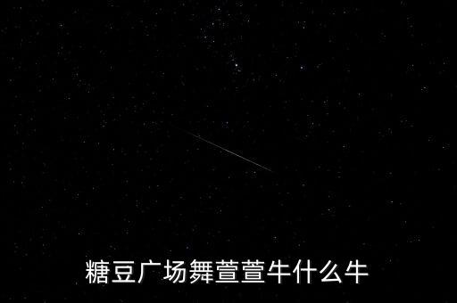 糖豆广场舞萱萱牛什么牛