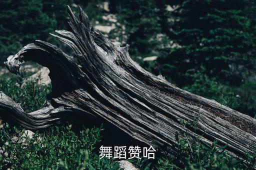 舞蹈赞哈