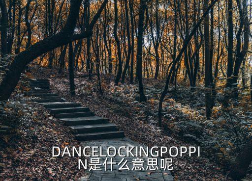 DANCELOCKINGPOPPIN是什么意思呢