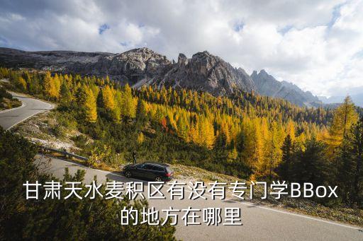 甘肃天水麦积区有没有专门学BBox的地方在哪里