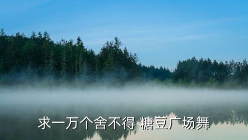 求一万个舍不得 糖豆广场舞