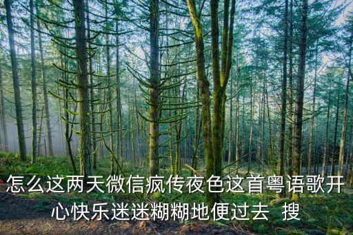 夜色这首歌怎么火的视频，为什么夜色这首歌这么火