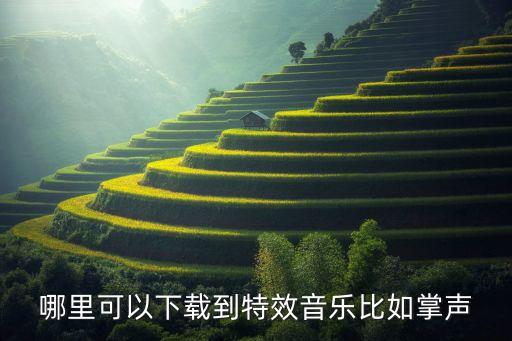 掌声在哪里铃声广场舞，哪里可以下载到特效音乐比如掌声