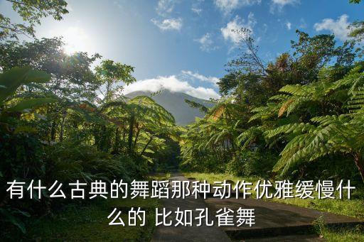 有什么古典的舞蹈那种动作优雅缓慢什么的 比如孔雀舞