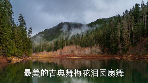 最美的古典舞梅花泪団扇舞