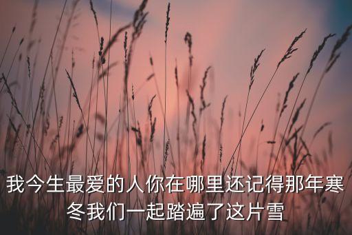春英恰恰舞我最爱的人你在哪里，我今生最爱的人你在哪里还记得那年寒冬我们一起踏遍了这片雪