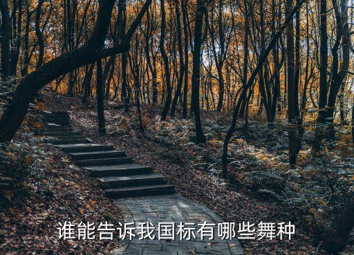 谁能告诉我国标有哪些舞种