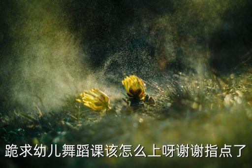跪求幼儿舞蹈课该怎么上呀谢谢指点了