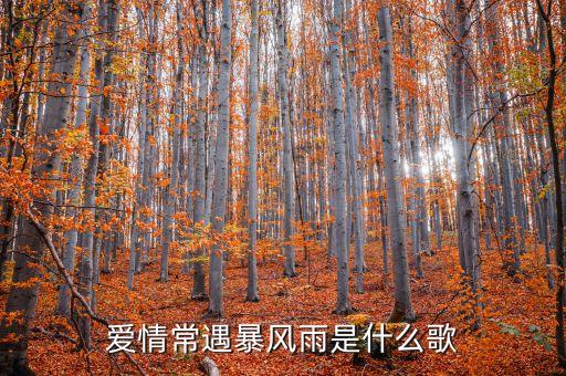 梦中的小妹什么歌，你在山的买一边啥歌