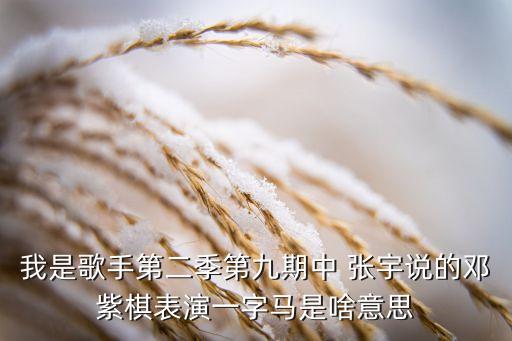 我是歌手第二季第九期中 张宇说的邓紫棋表演一字马是啥意思