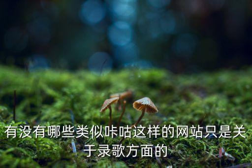 有没有哪些类似咔咕这样的网站只是关于录歌方面的