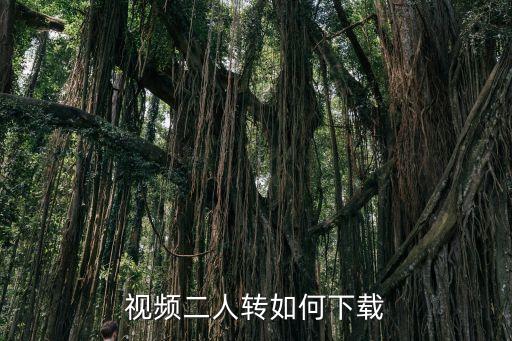 下载二人转怎么下载视频下载，mp4怎样下载2人转视频