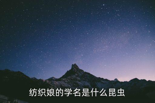 芭蕾伶娜是什么，纺织娘的学名是什么昆虫