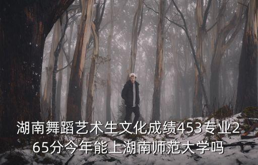 湖南舞蹈艺术生文化成绩453专业265分今年能上湖南师范大学吗