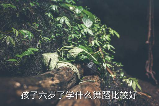 孩子六岁了学什么舞蹈比较好