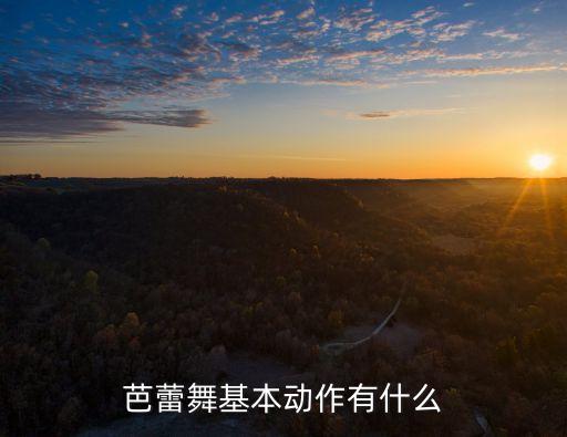 芭蕾舞基本动作有什么