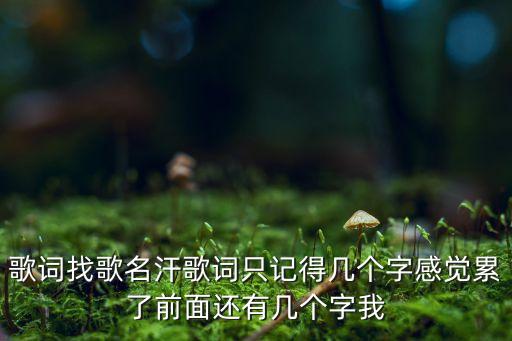 歌词找歌名汗歌词只记得几个字感觉累了前面还有几个字我