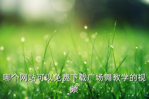 哪个网站可以免费下载广场舞教学的视频