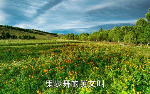 曳步舞 f忠叫什么，鬼步舞的英文叫