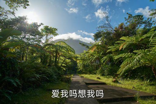 爱我吗想我吗