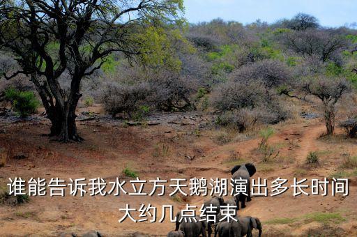 谁能告诉我水立方天鹅湖演出多长时间大约几点结束