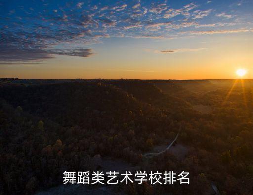 舞蹈类艺术学校排名