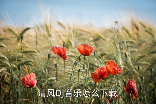清风网dj音乐免费下载，清风DJ网的歌曲有办法免费下载吗