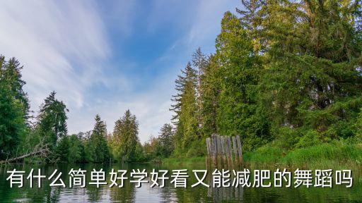 有什么简单好学好看又能减肥的舞蹈吗