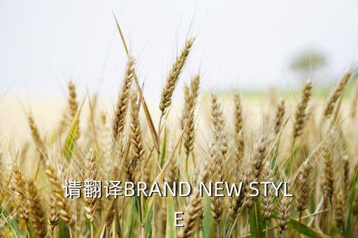 请翻译BRAND NEW STYLE
