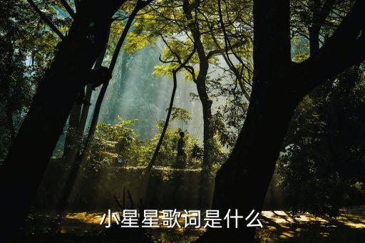 小星星歌词是什么