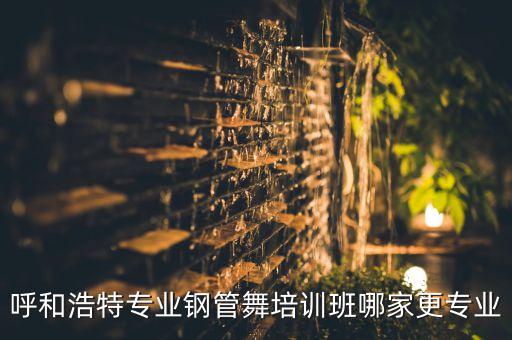 呼和浩特专业钢管舞培训班哪家更专业