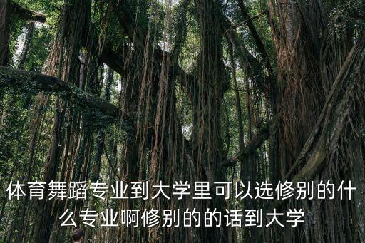 体育舞蹈专业到大学里可以选修别的什么专业啊修别的的话到大学