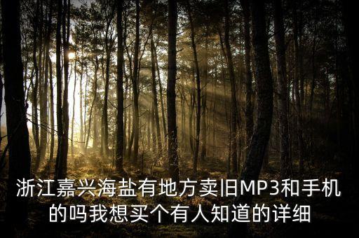 海盐哪里有卖MP3的地方，浙江嘉兴海盐有地方卖旧MP3的吗