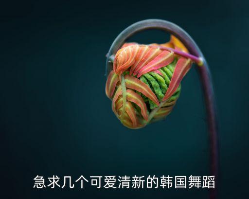 急求几个可爱清新的韩国舞蹈