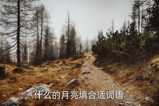 什么洁的月亮，月光皎洁是成语