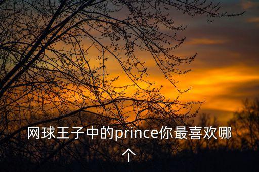 投票pm4最喜欢哪个王子，美型妖精大混战中你们最喜欢哪个王子
