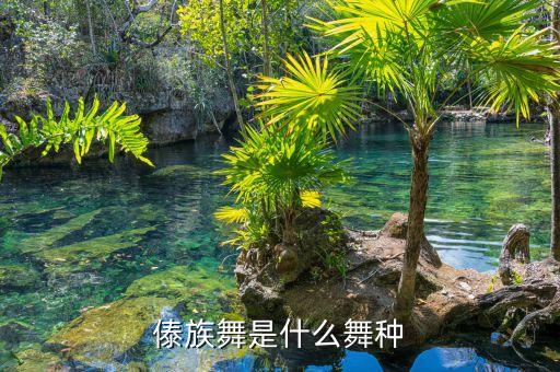 傣族舞是什么舞种