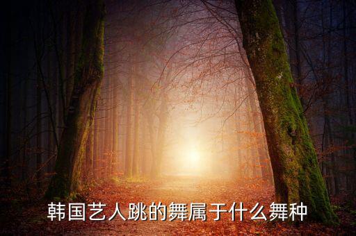 韩国艺人跳的舞属于什么舞种