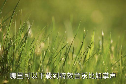 掌声在哪里变队形下载，哪里可以下载到纯的掌声和笑声的音效我做报告需要用到