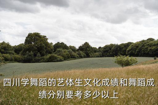 四川学舞蹈的艺体生文化成绩和舞蹈成绩分别要考多少以上