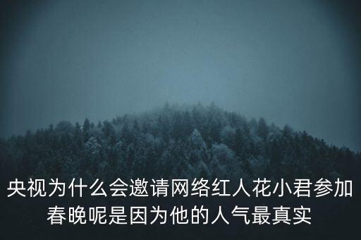 广场舞 小君 哪里人，网络红人花小君和网络红人程琳是什么关系有人说程琳是花小