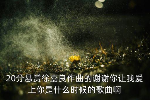 20分悬赏徐嘉良作曲的谢谢你让我爱上你是什么时候的歌曲啊