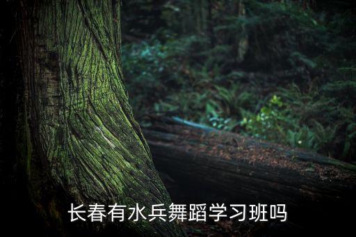 长春有水兵舞蹈学习班吗